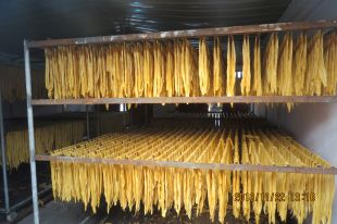 腐竹豆制品生产